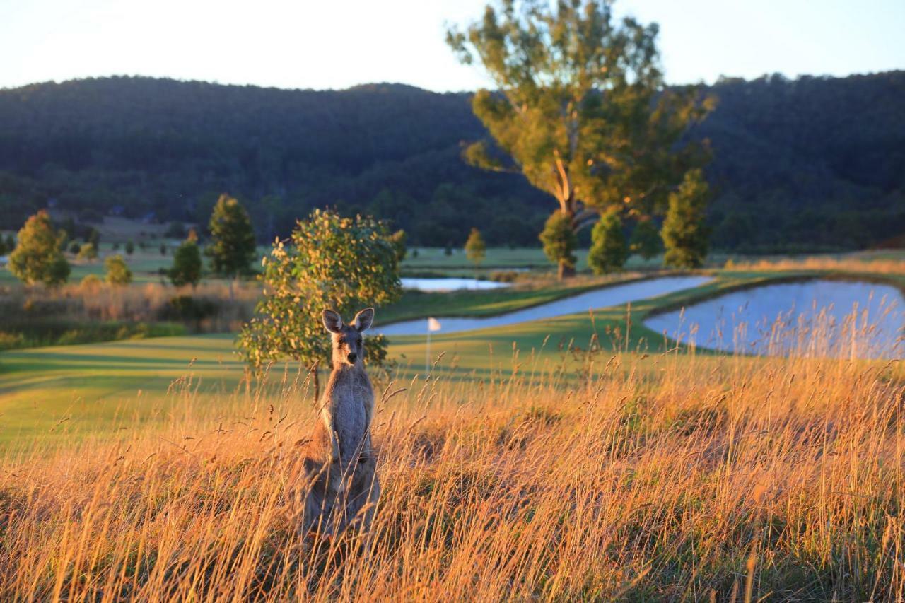 Chateau Yering Yarra Glen Exteriör bild